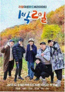 荒野实验室 户外综艺在线观看免费